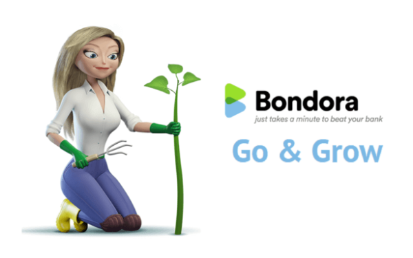 Bondora Go & Grow Zinsrechner